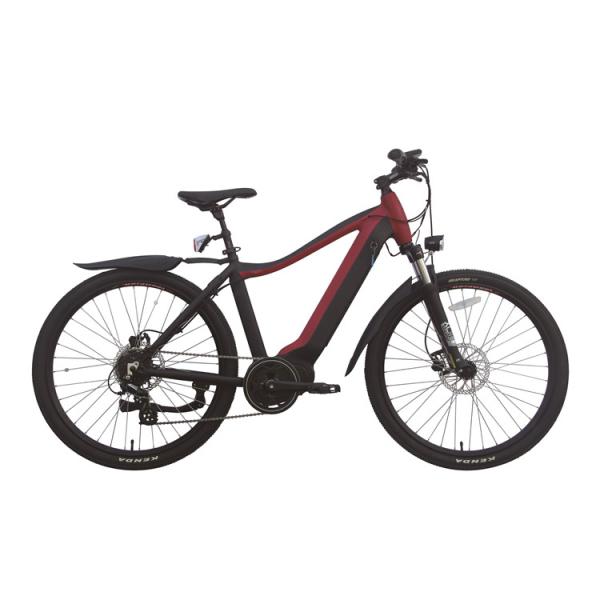 350w Portable Folding Electric Bike Hub Motor E Bike With Removable Battery 36V