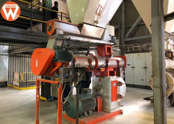 Quality Total 220kw Feed Pellet Production Line With SKF Bearing Capacity 10T/H for sale