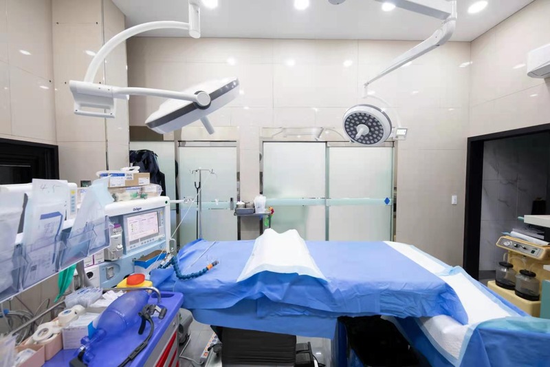 Veterinary Shadowless Ot Led Surgical Light Operating Room Surgery Lamps Prices Surgical Light Mobile