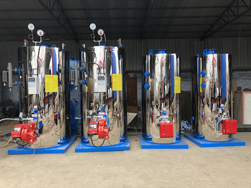 500kg/H Small LPG Gas Diesel Dual Fuel Oil Fired Steam Boiler Price For Food Mill Factory