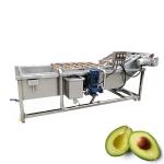 9.4kw Lavadora de Frutas y Verduras con Burbujas de Aire Limpieza de Brócoli y