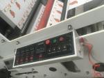 RY-850B Paper Cup Flexo Printing Machine RY-850B 5 color paper cup printing