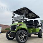 Customizable 6 Seat Electric Street Legal Hunting Golf Cart With 72V 4Kw Motor