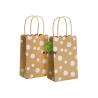 Buy cheap Glitter Kraft Paper Shopping Bags For Gift Packing Environment Friendly from wholesalers