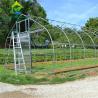 Buy cheap Polycarbonate Poly Tunnel Greenhouse Edible Mushroom Industrial Hemp Greenhouse from wholesalers