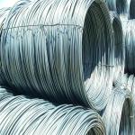 Ss430 Stainless Steel Wire Rope Disc Circle Ss 316 Wire Rope