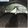 Buy cheap Tunnel Polyethylene Foil Greenhouse For Mushroom Low Transmission Black And White from wholesalers