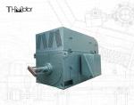 Squirrel Cage High Speed Electric Motors High Voltage Electric Motors 6KV 10KV