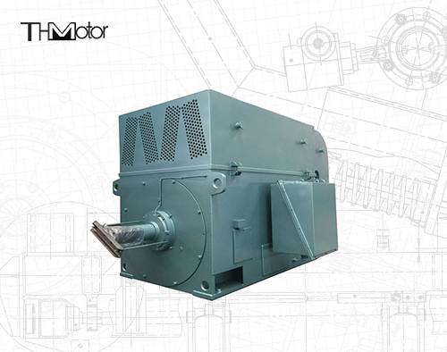 Squirrel Cage High Speed Electric Motors High Voltage Electric Motors 6KV 10KV
