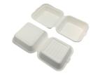 6×6 Inch 530ml 20g Biodegradable Food Boxes