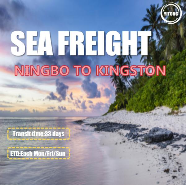 Buy cheap FOB CIF International Ocean Freight Service From Ningbo To Kingston Jamaica from wholesalers