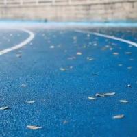 Buy cheap Indoor Synthetic Athletic Track EPDM Rubber Granule For Stadium Sports 9-13mm product