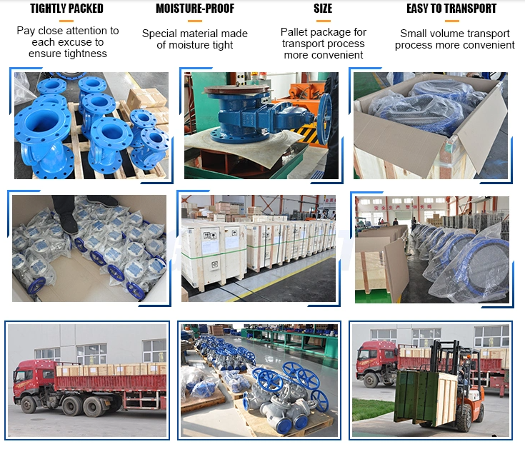 Resilient Seated Double Eccentric Flanged Butterfly Valves with Manual Operation