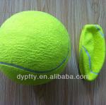 giant inflatable ball inside