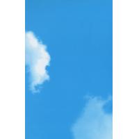 Buy cheap Popular Decorative Pvc Wall Panels Fireproof Waterproof Click Lock product