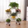 Buy cheap 20kg Bearing 50x28x80cm Metal Flower Stand Smooth Finish from wholesalers