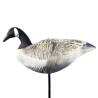 Buy cheap Foldable EVA Canada Foam Goose Decoys Full Size / Full Body Shooting Decoys from wholesalers