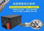 Buy cheap Self - Reflective Metal Halide Fishing Lamp 700 Watt High Luminous Efficiency from wholesalers