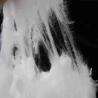 Buy cheap Fire Retardant Fiber Ethylene Propylene Side By Side Fiber Water Absorbent Fiber 38mm from wholesalers
