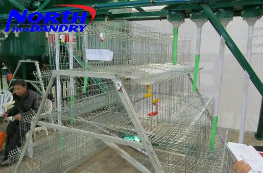 Buy cheap poultry equipments broiler cage/ cage for growing broiler chicken from wholesalers