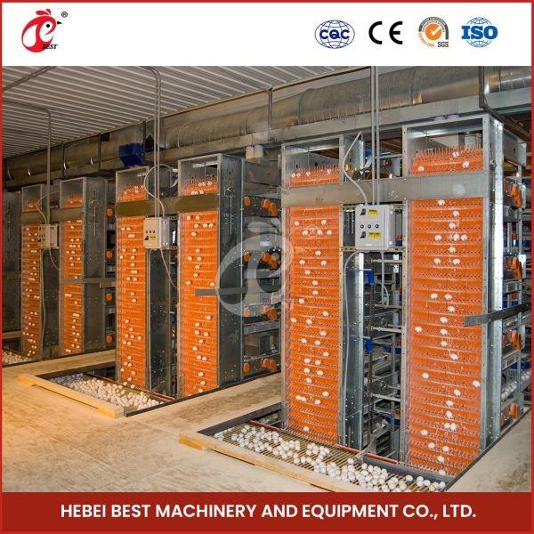 Buy cheap H Type Layer And Broiler Automatic Battery Chicken Cage Equipment House Design Ada from wholesalers