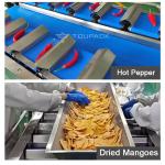 Frankfurt Sausage Multiheads Belt Feeder Combination Weigher Baked Hot Dog