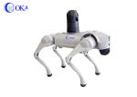 OKAF Airport subway high speed rail biomimentic quadruped robot dog AI face