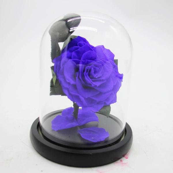 Real Preserved Forever Rose, Eternal Rose, Galaxy Rose, Preserved Flowers Flower