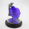 Buy cheap Real Preserved Forever Rose, Eternal Rose, Galaxy Rose, Preserved Flowers Flower Crafts Preserved roses from wholesalers