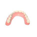 Ultra Durable Biocompatible Resin 3d Printing 3d Printer Dental Resin