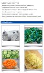 Heavy Duty Stainless Steel Commercial Catering Equipment Vegetable Cutter 1000KG