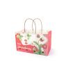 Buy cheap Handle Kraft Fruit Paper Bags Compostable For Fruit Packaging Takeaway from wholesalers