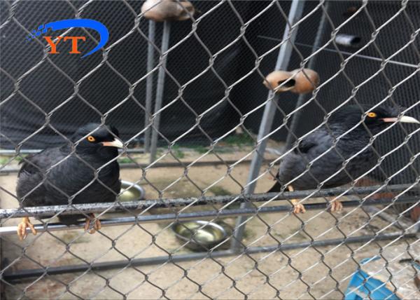 Buy cheap Soft Macaw Aviary Wire Stainless Steel Rope Mesh Netting For Enclosure Fence from wholesalers