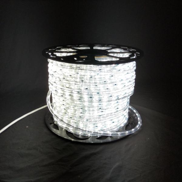 Quality WW Top quality 2 wire 110/220V LED rope light Christmas decorative lighting outdoor festive lighting supplier best price for sale