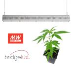 Indoor / Outdoor Plant Lights , High Penetration 200W 4 Foot Led Grow Lights