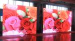 RoHS PH8 960*960 LED Outdoor Advertising Screens Customizable
