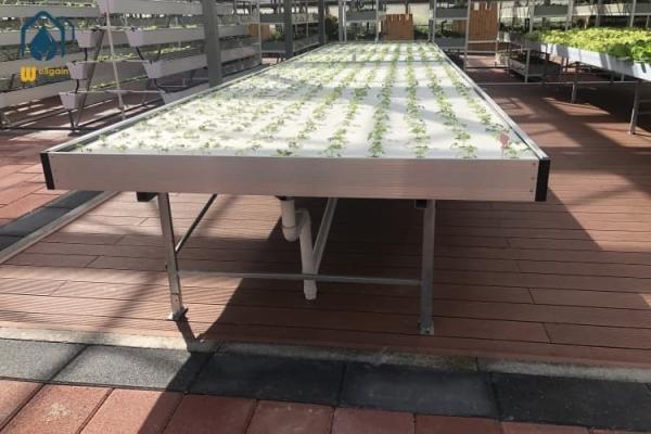 Buy cheap Green House Ebb And Flow Rolling Benches Medical Plants Nursery Hydro Flood Tables from wholesalers