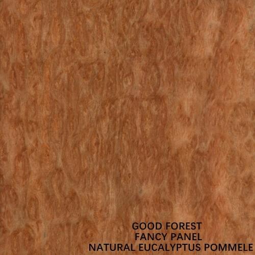 Buy cheap Special Eucalyptus Fancy Plywood Board Pommele Grain 2745mm Length Size For Hotel Decoration from wholesalers