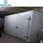 Cam-Lock Connection Type 100 Tons Meat Fish Cold Storage Room for Food at -25