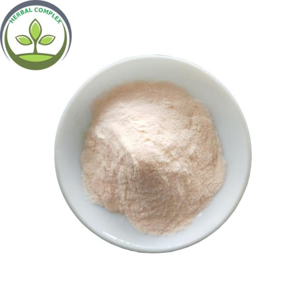 grapefruit juice powder buy best dried organic grapefruit powder uses health