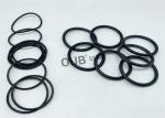 971489 984623 992446 4040814 NBR Silicone Rubber O Rings Seals For Hitachi