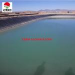 LDPE Geomembrane Liners 1000micron for Waterproof Fishponds in 0.2mm-3mm