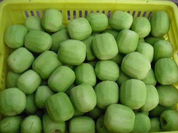 Buy cheap Grade A IQF Frozen Fruit / Fresh Kiwi Various Shape Or Size Optional from wholesalers