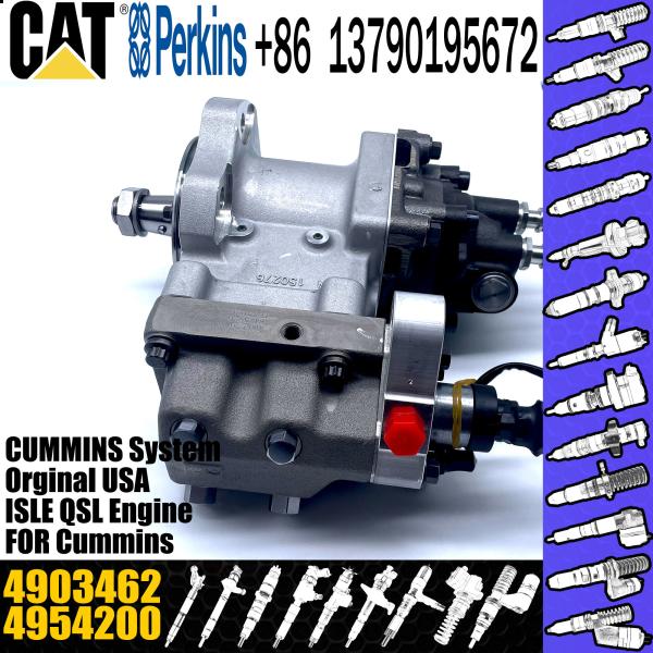 Buy cheap Excavator Parts ISC8.3 QSC8.3 Engine fuel injection pump P5594766 4903462 4954200 4921431 3973228 from wholesalers