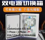 Buy cheap Compact Single Phase Automatic Transfer Switch ATS Box Waterproof Wall - Mount 2 Pole 63A  400V from wholesalers