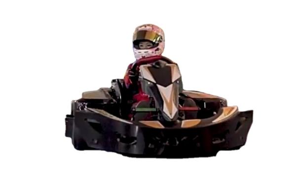 Buy cheap Double Motor 4000W Adult Racing Go Karts 120km/H High Speed from wholesalers