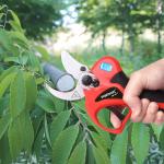 Buy cheap Hot Sale Electric Pruning Shears With Finger Protection Pruner Garden Scissors from wholesalers