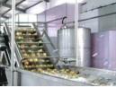 Buy cheap Mango Canned Fruit Jam Production Line With Secondary Steam Condensation Recovery System from wholesalers
