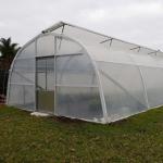 Galvanized Steel Frame Tunnel PE Film Greenhouse Single Span For Agriculture