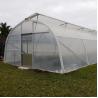 Buy cheap Galvanized Steel Frame Tunnel PE Film Greenhouse Single Span For Agriculture from wholesalers